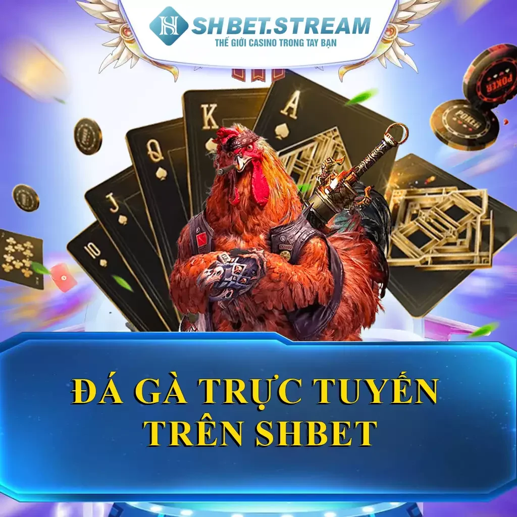 Đá Gà Trực Tuyến Trên SHBET – Trải Nghiệm Siêu Đỉnh