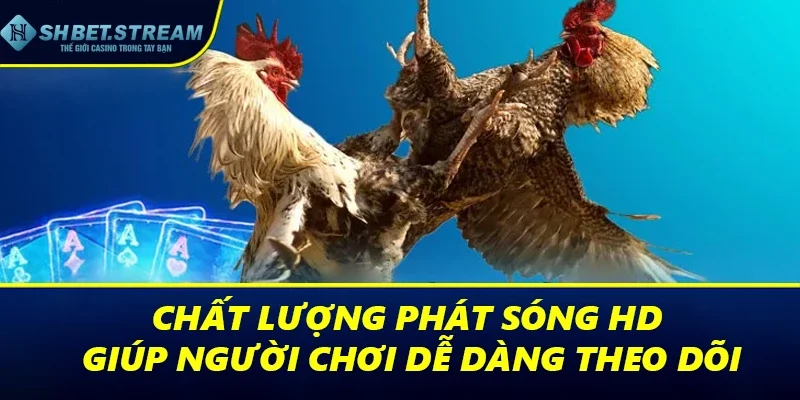 Chất lượng phát sóng HD giúp người chơi dễ dàng theo dõi