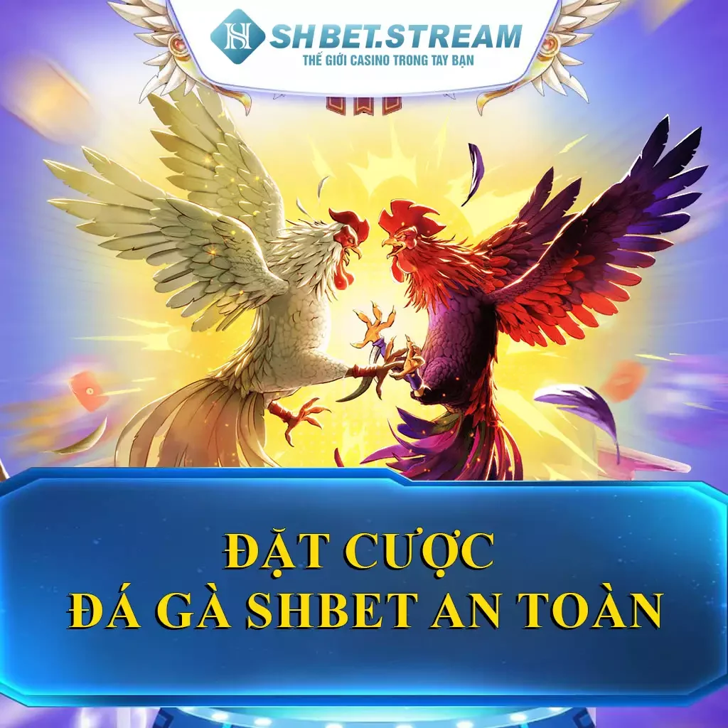 Đặt Cược Đá Gà SHBET An Toàn – Lựa Chọn Giải Trí HOT