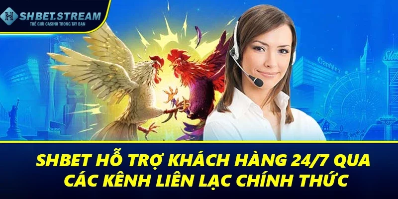 SHBET hỗ trợ khách hàng 24/7 qua các kênh liên lạc chính thức