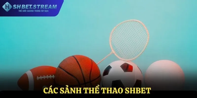 Các sảnh thể thao tại SHBET