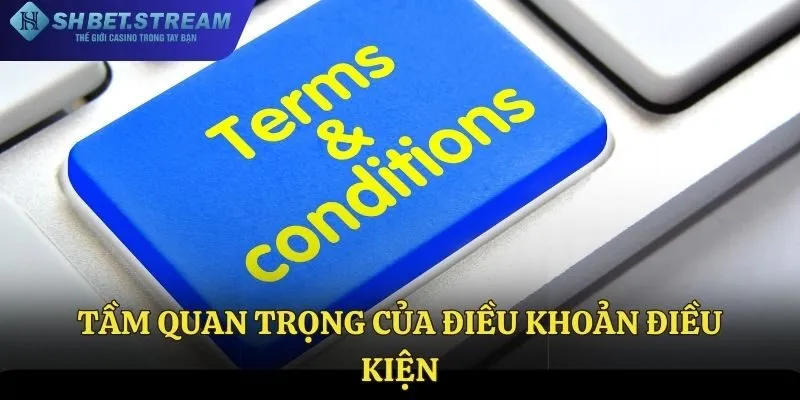 Tầm quan trọng của điều khoản điều kiện tại SHBET