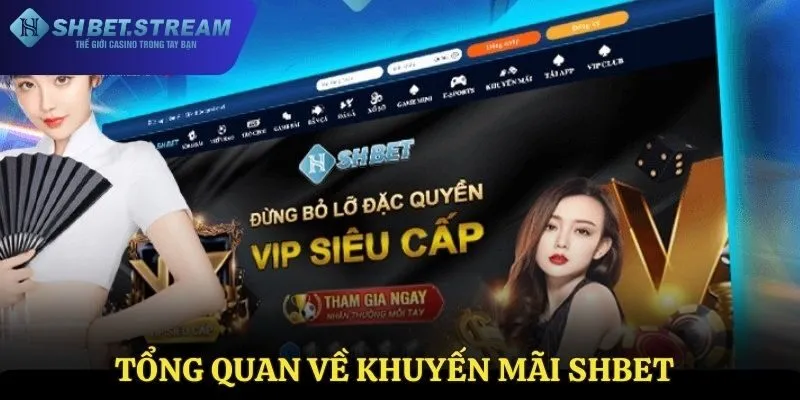 Tìm hiểu về khuyến mãi SHBET